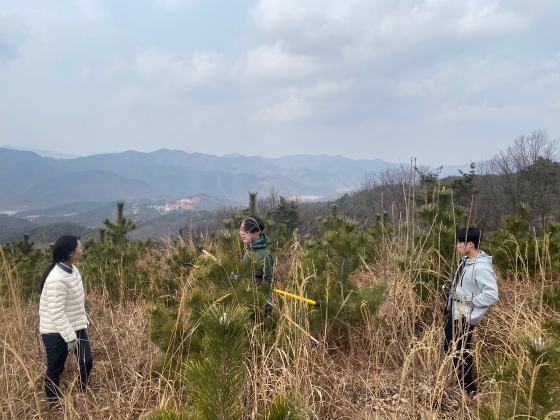 영동 출장