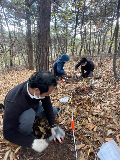 란's 뿌리분해 실험