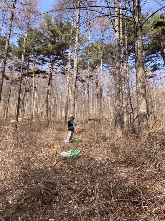 가리왕산 출장