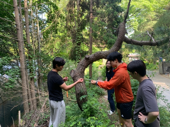 수목생리학 임목의 생장 측정 실습