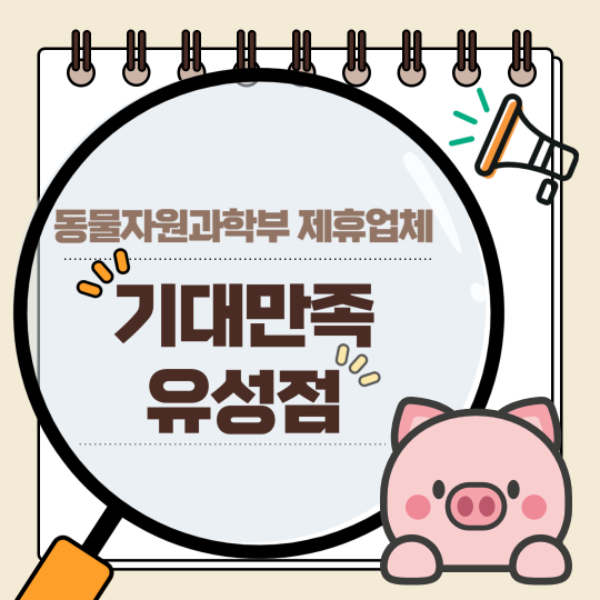 기대만족